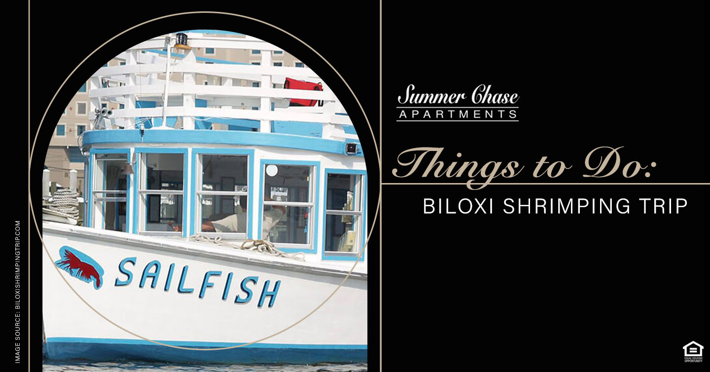 Things to Do: Biloxi Shrimping Trip
