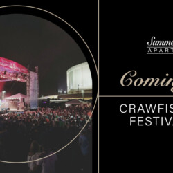 Crawfish Music Festival 2024